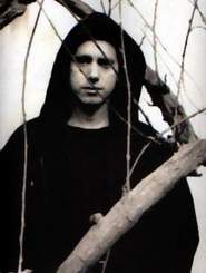 Martin - Tree